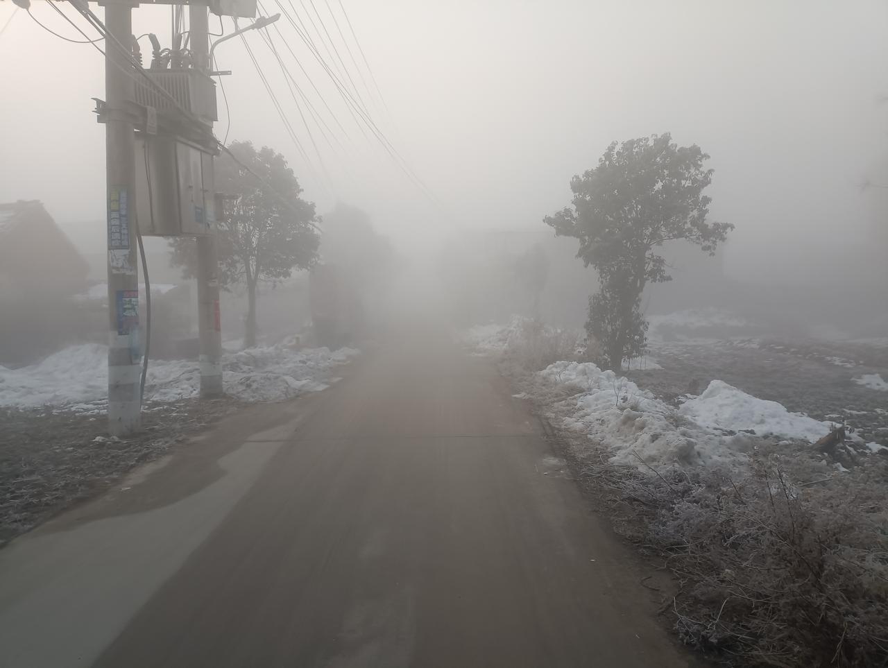 河南豫东，🌫好大啊。今天上午，河南豫东，雾好大啊。能见度不足50米