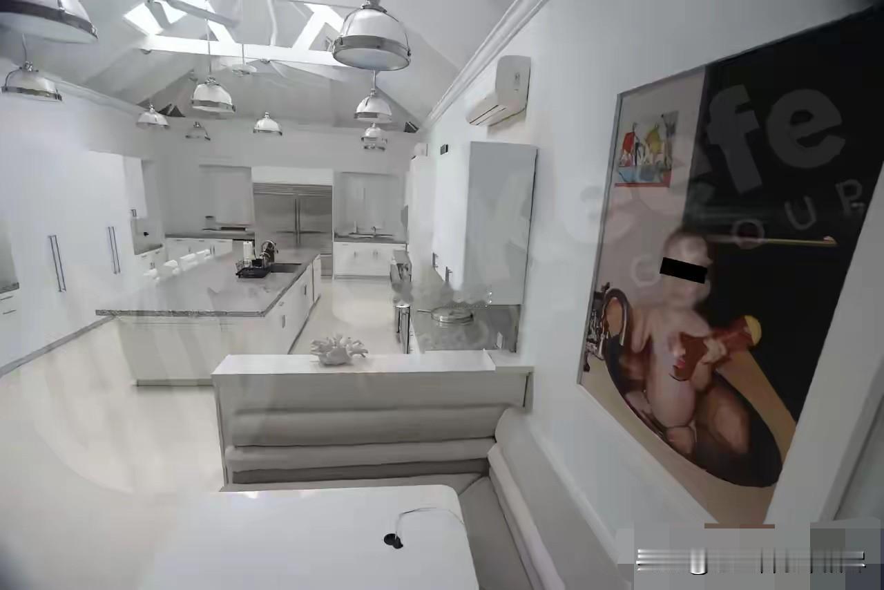 又刷到一张爱泼斯坦恶魔岛厨房的照片，虽然厨房整体看上去没什么问题，宽敞明亮显的也