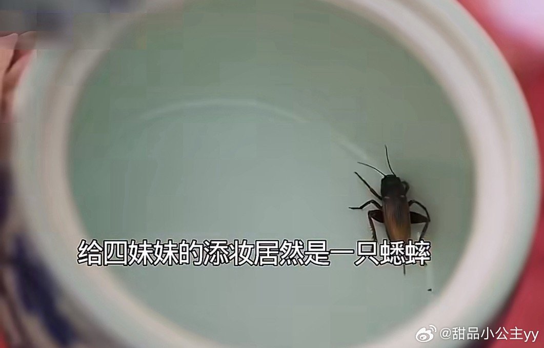 兰香如故程氏送蟋蟀当添妆礼这个剧小伙伴们推荐吗？最近都是这个话题。我一集都没看[