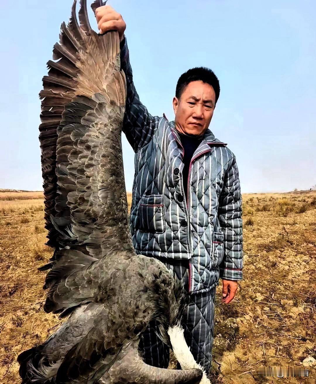 鄱阳湖毒鸟案触目惊心！呋喃丹毒饵下的杀戮禁猎核心区里，剧毒农药混着稻谷撒满