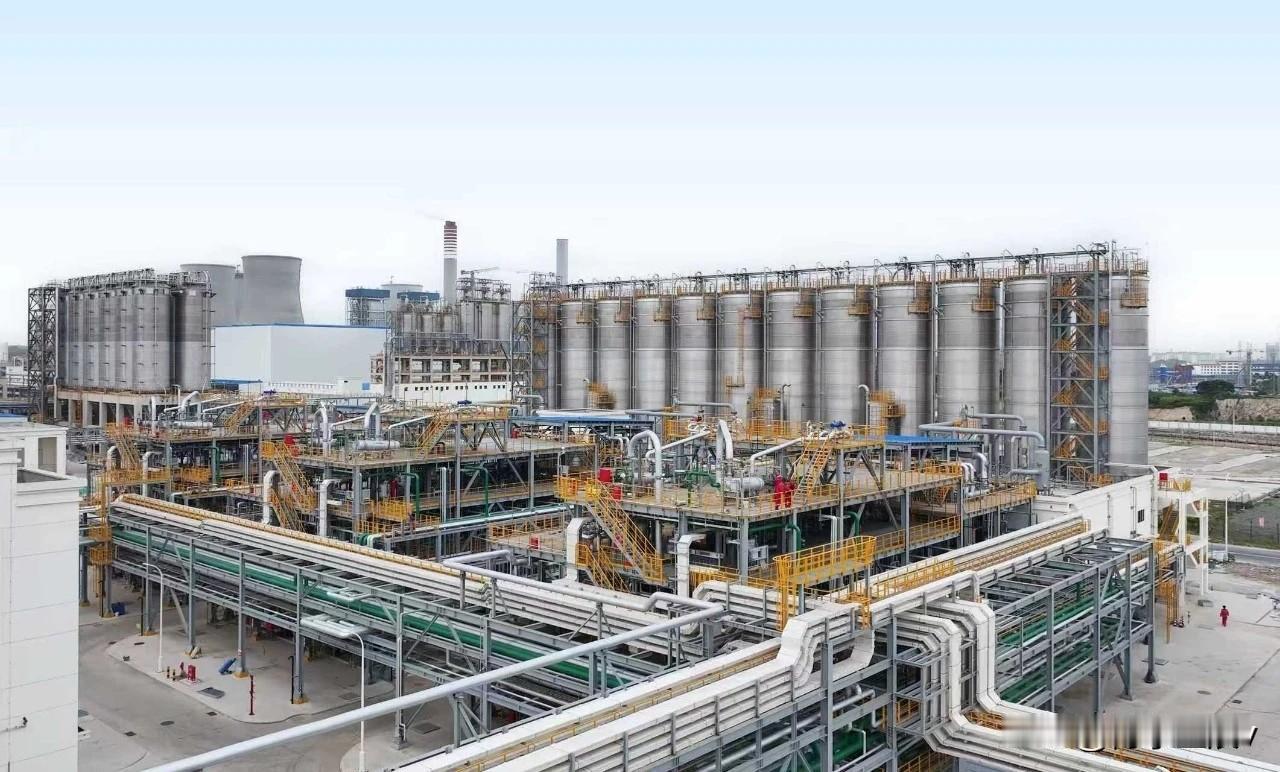 百色、柳州、钦州列2025年1-11月广西全社会用电量及规模以上工业能源消费前列