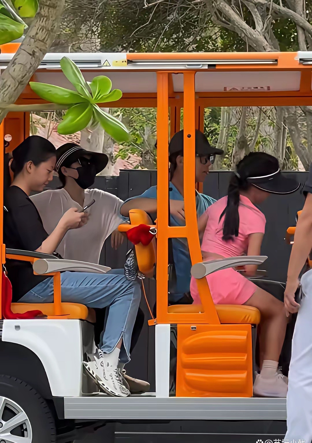 章子怡三亚过年全家福！10岁醒醒粉裙抢镜，6岁儿子紧牵妈妈，侄子帅气出镜！