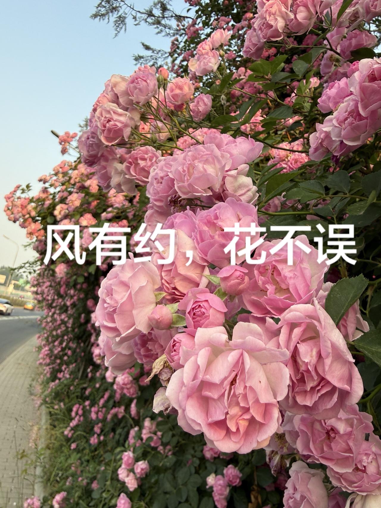 跑步累吗？不累？其实没有人完全不累，当你觉得这个累是锻炼、是成长、是成就的时候，