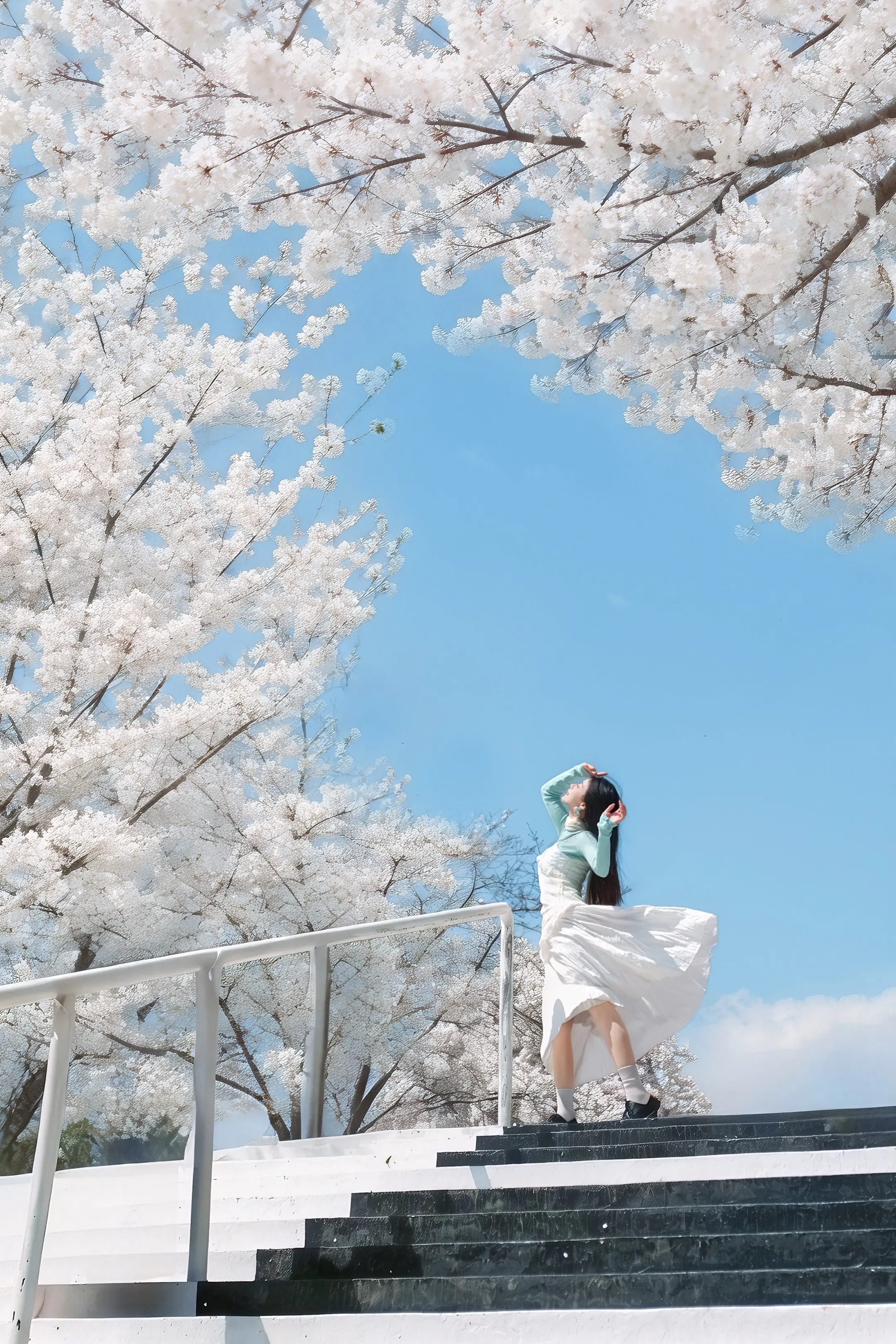 樱花树下站谁都美🌸。在三月拍到了漂亮的限定白樱🌸