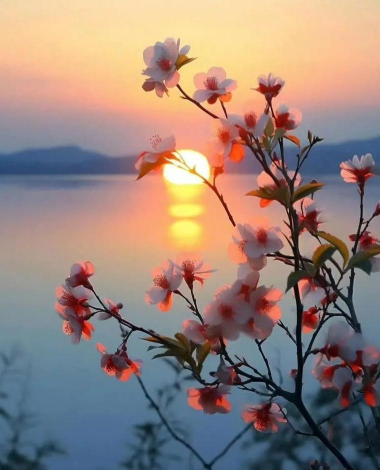 退休后才看透！手里有10万存款，不如管好这3样东西，晚年才不遭罪！退休前总