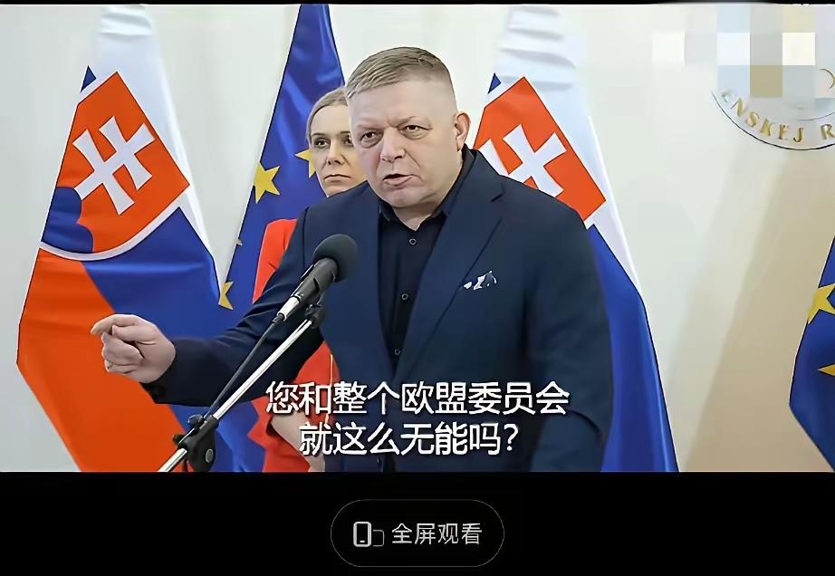 欧盟900亿欧元对乌援助再次遇阻，多国因自身利益提出附加条件欧盟计划在20