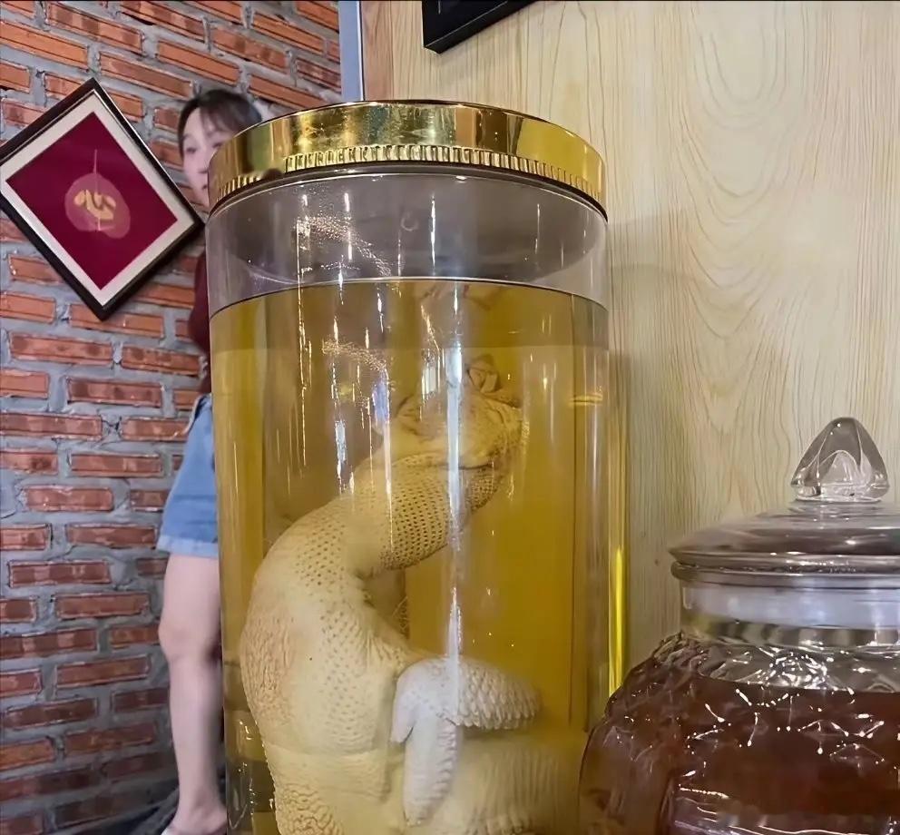 真的是一个敢泡一个敢喝啊！