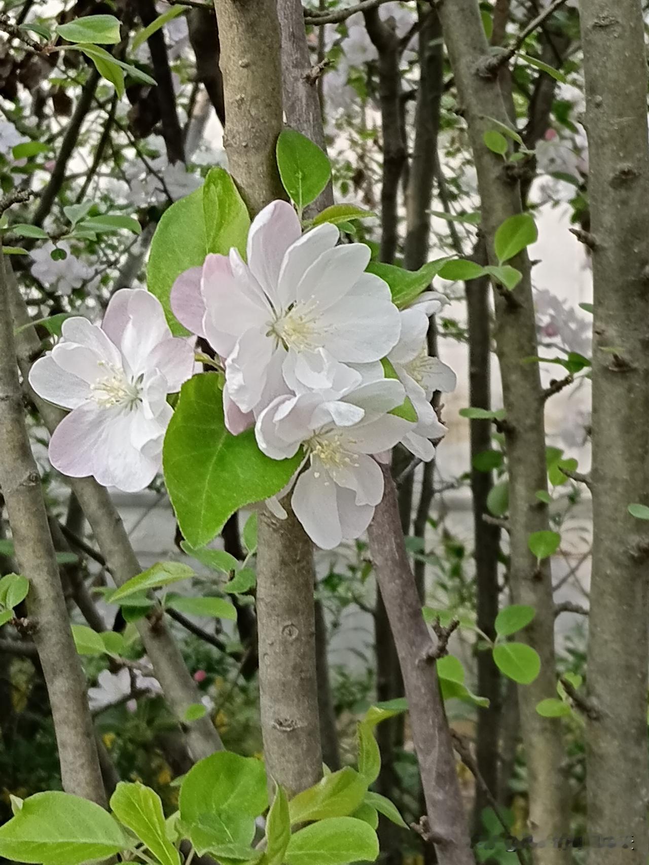 富养自己最好的方式，就是练。而不是买买买。练闭嘴——家里的钱、过去的秘密、家