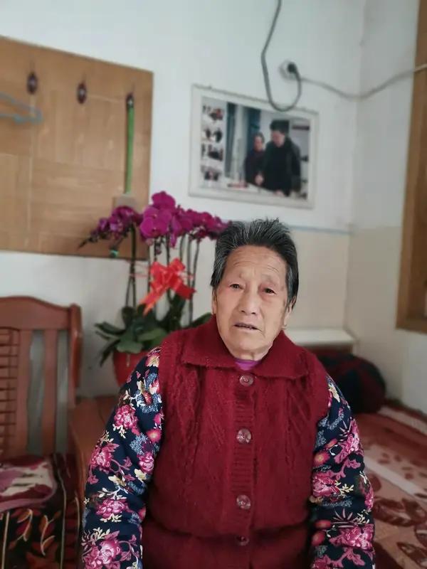 陕西周至的杨大娘和河南小伙任向营的故事太暖了。2000年小伙失去父亲来陕西谋生