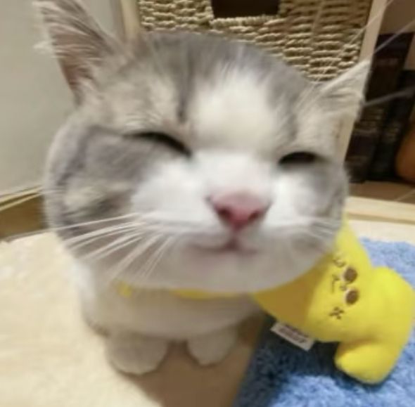 早*^o^*今天长这样～～～​​​