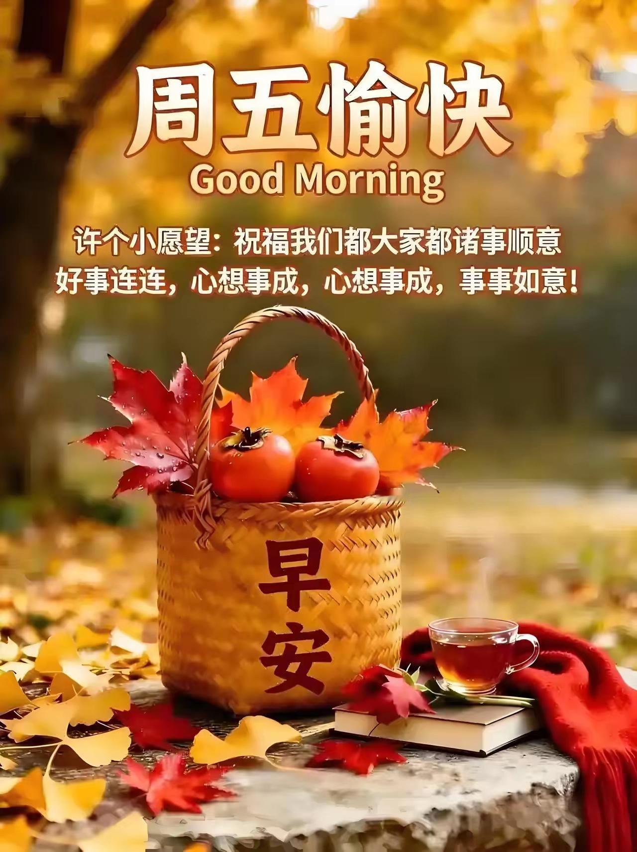 秋意渐浓，岁月向暖🍂一晃又是温柔的周五。一周的忙碌悄然收尾，所有的疲