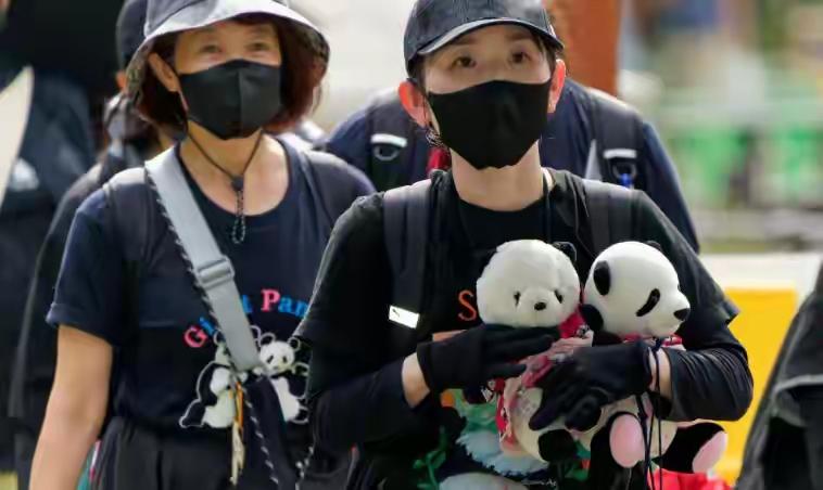 最后两只熊猫打包回国，高市早苗一句狂言，换300亿日元天价账单。这则消息让