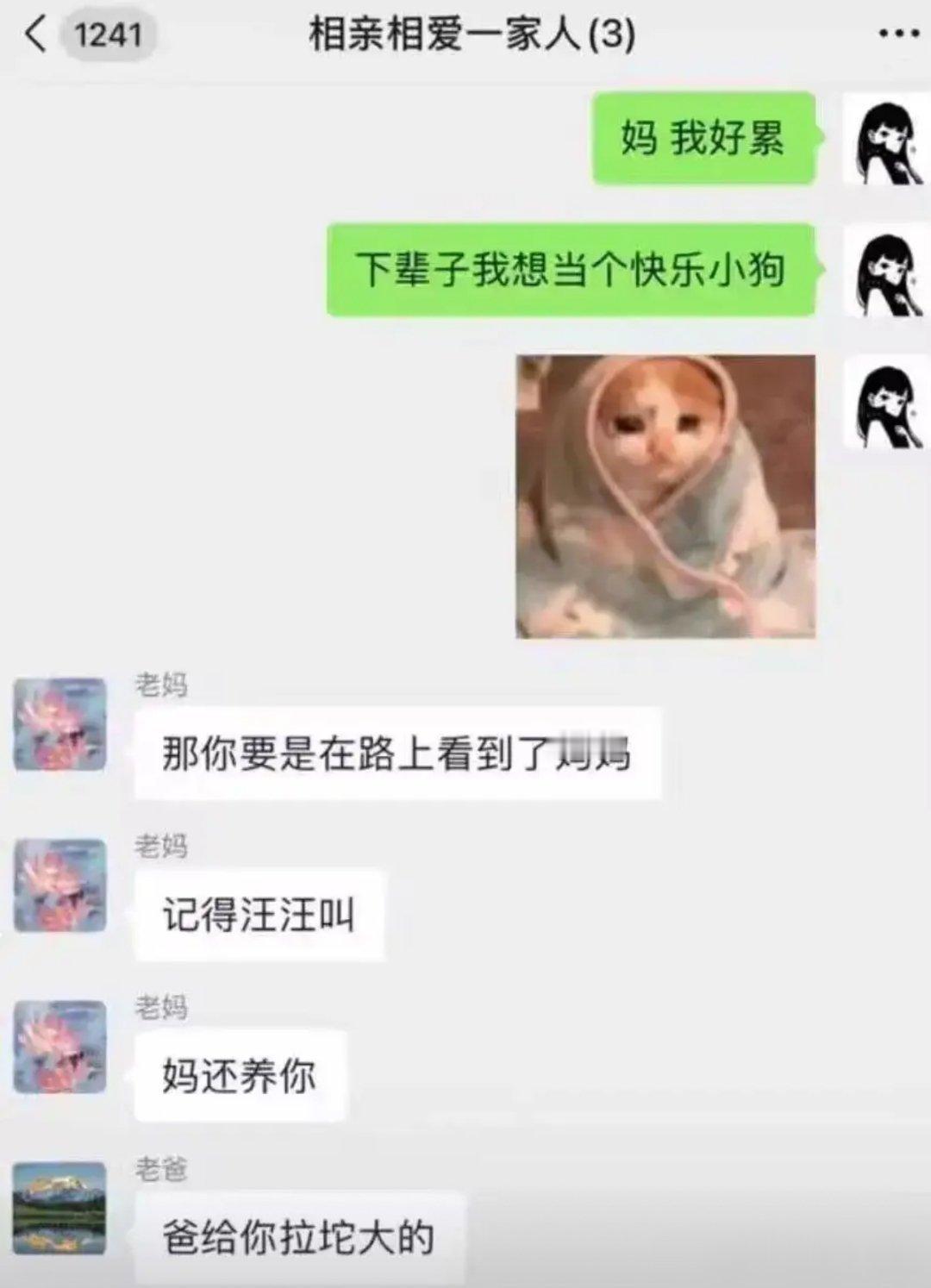 这是亲爸没错了[doge]