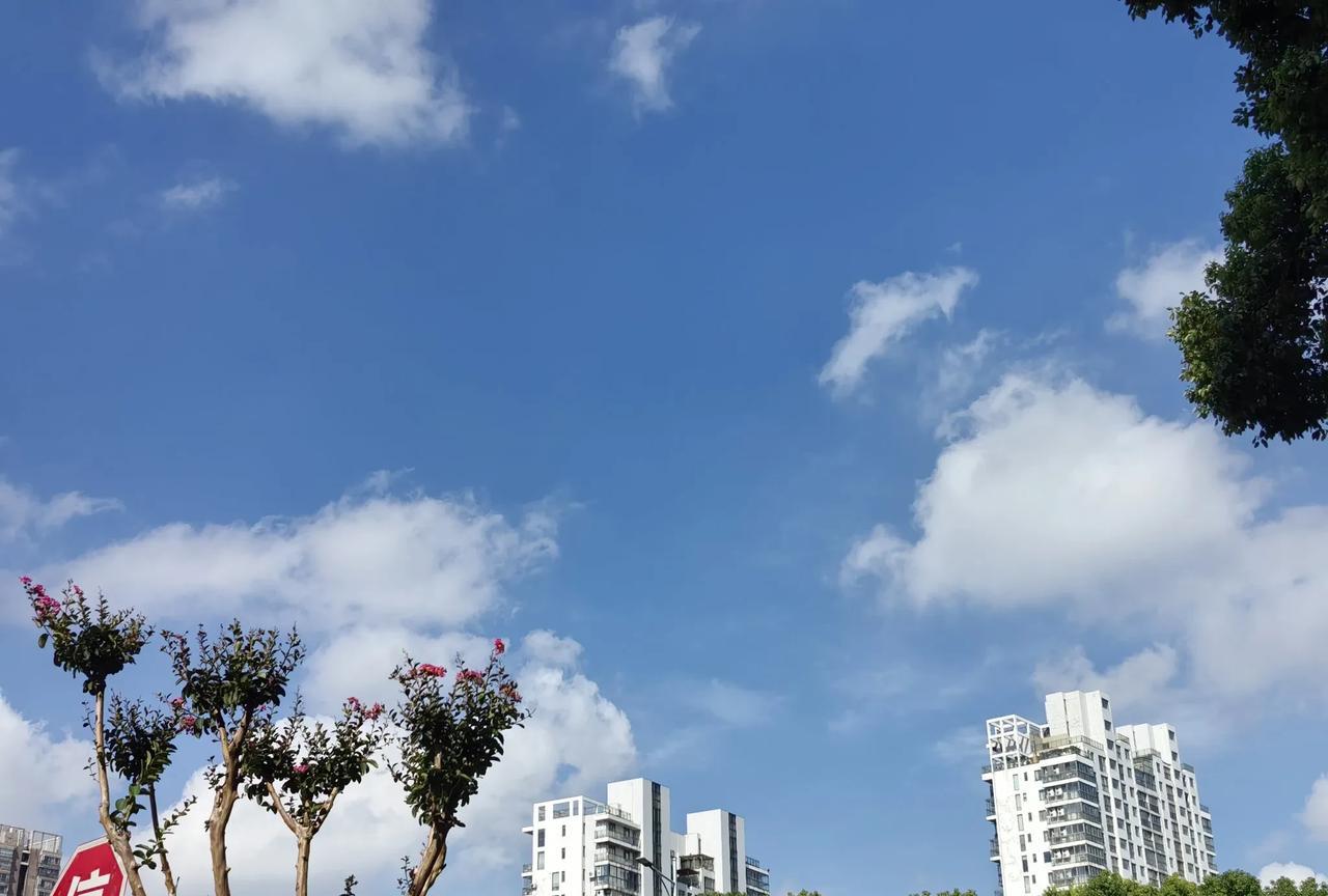 我老妹是个代课老师，眼看也过了55周岁的退休年龄。这不所在的小学招不到多少学生要