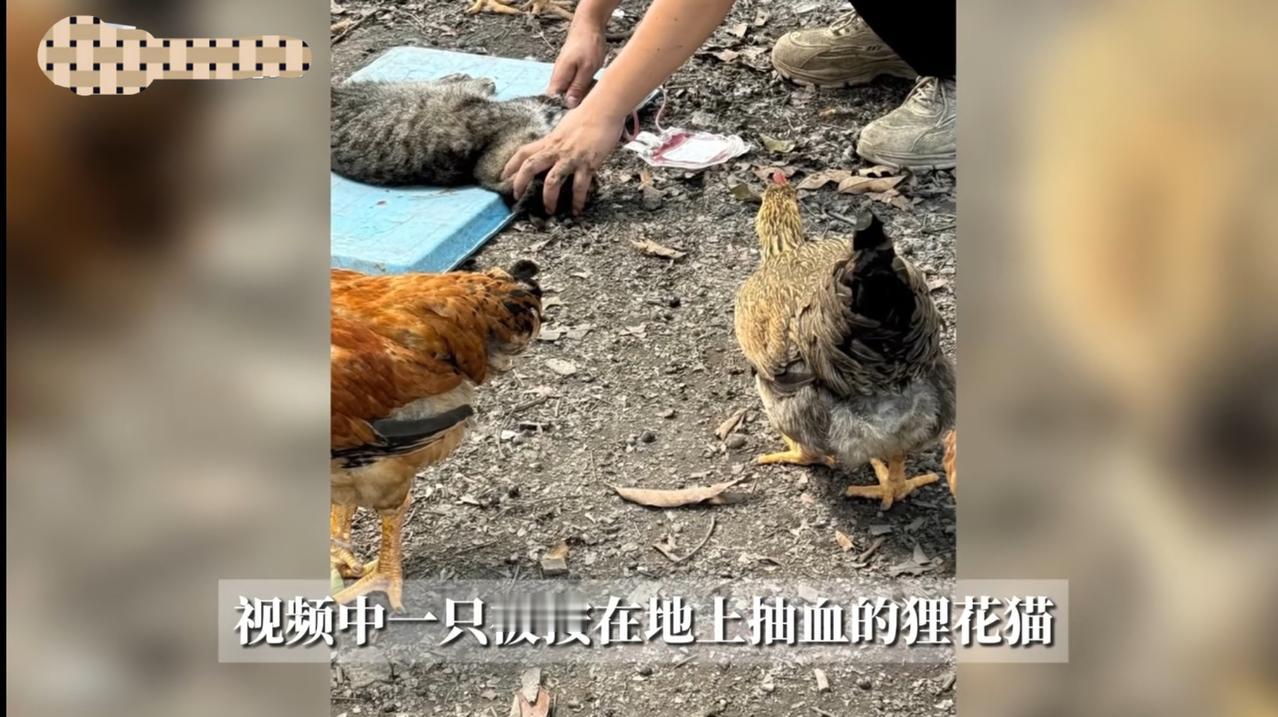 简直丧尽天良！近日有网友爆料，广州一动物血库为了卖钱，竟将三十元左右买来的流