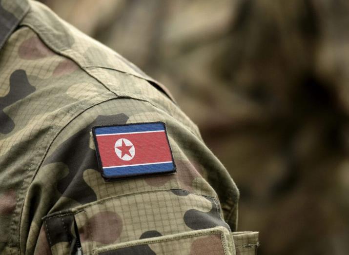 愿意出兵帮助俄罗斯打乌克兰，却拒绝参加红场阅兵，朝鲜葫芦里卖的是什么药？根据