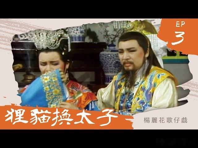 独派主张演貍猫换太子讽蒋万安　王鸿薇批：用大罢免手法辱台北市民智商台南《铡美