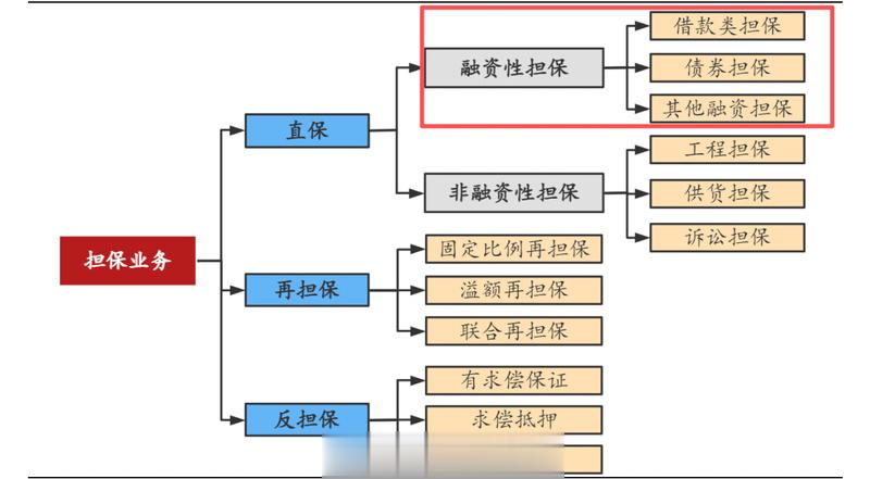 助贷担保乱象调查: 年化超2000%“高炮”再现, 双担保犹在