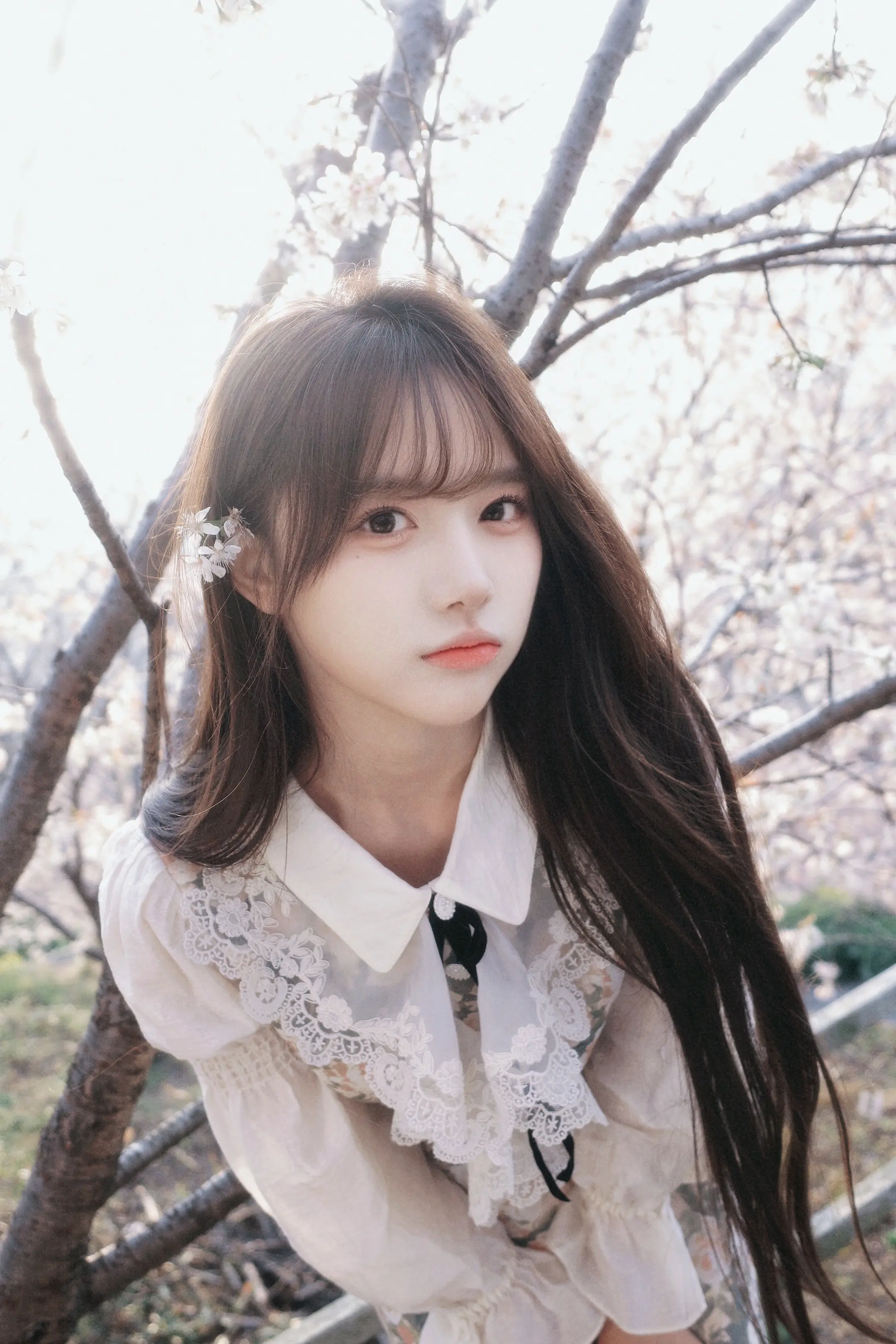 樱花总算没错过了。