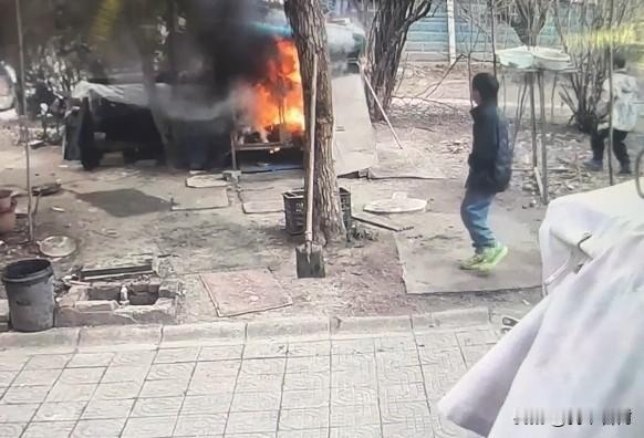 两男孩点燃狗笼烧死狗狗，主人拒绝私了。今天烧死狗，明天就能烧死人。这些小孩实在够