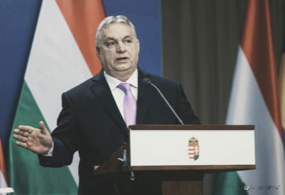 欧盟这回算是把“硬脖子”给缩回去了！1月12日的消息，布鲁塞