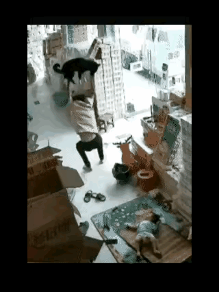 “太吓人了”店铺里，几个月大，还不会走路的宝宝正在爸爸的看护下睡觉。一只恶狗慢悠