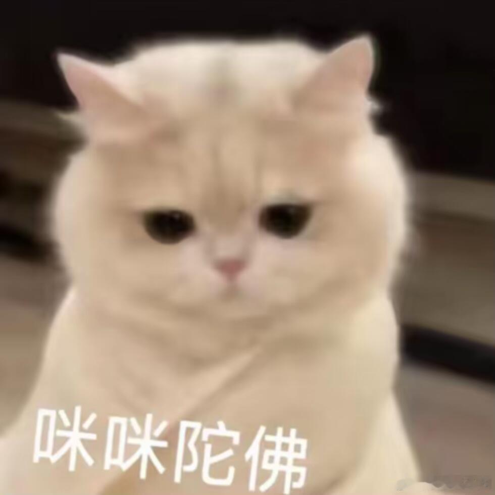 博君一肖今天有点不舒服，先睡啦～晚安，祝好🌙