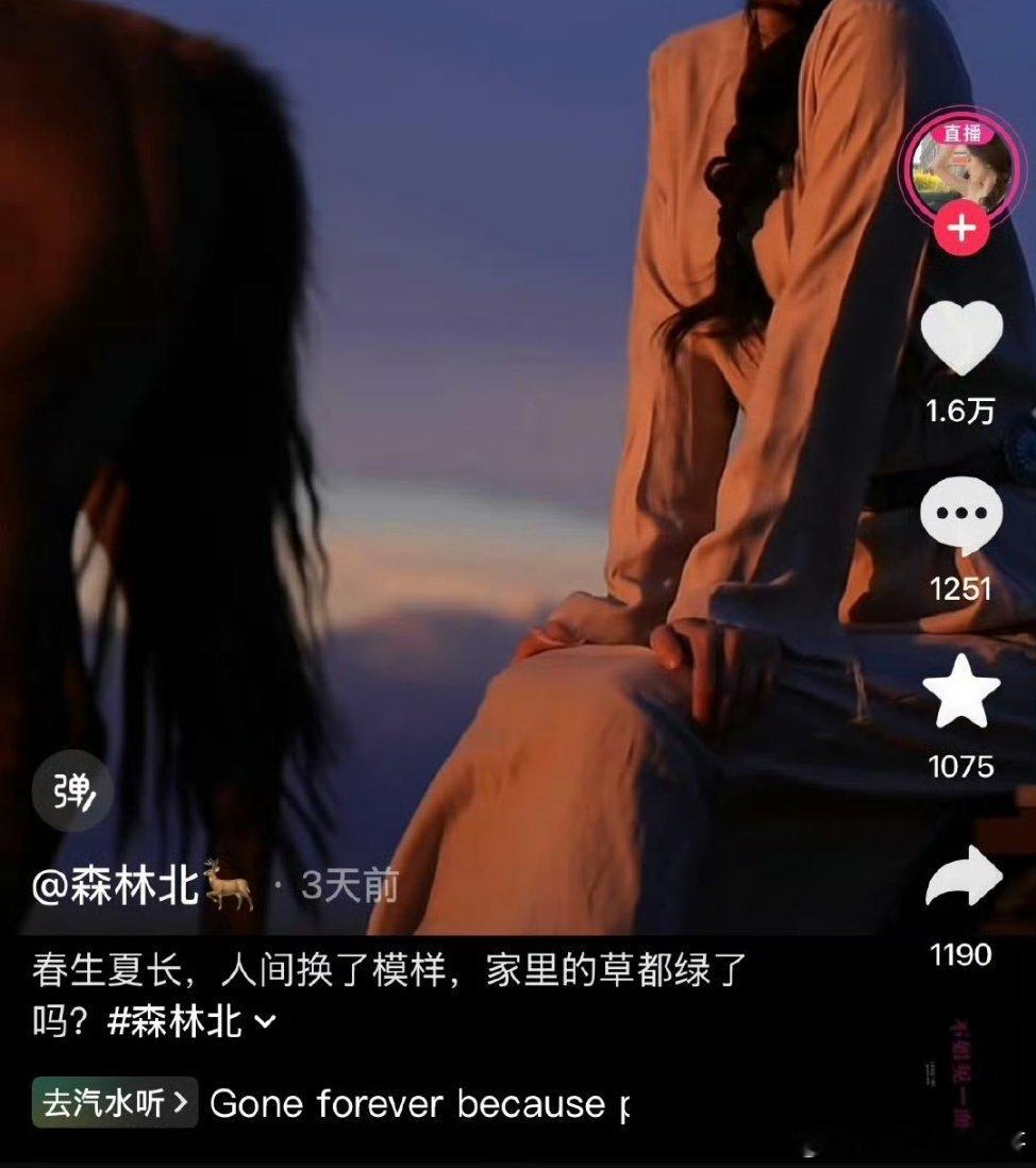 曝汪峰森林北分手森林北最新抖音配文：家里的草都绿了吗一夜清空所有和汪峰相关动态，