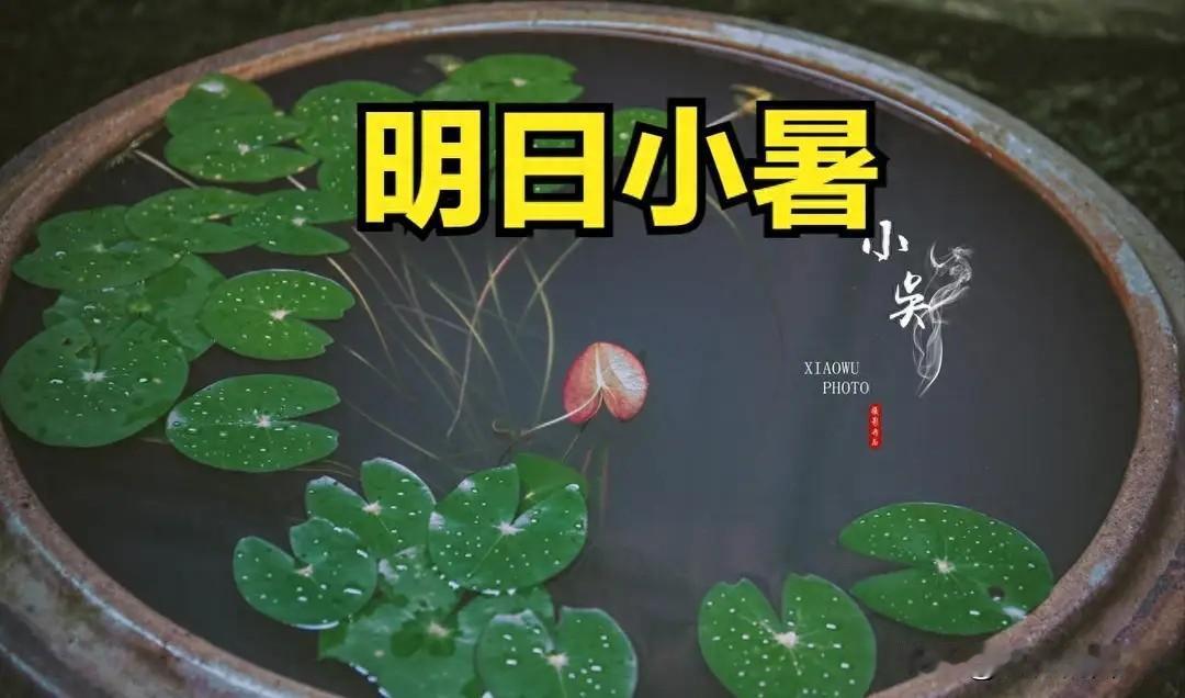 “小暑一碗汤，安然度苦夏”，建议大家：3道汤常喝，清爽补津液小暑一到，空气