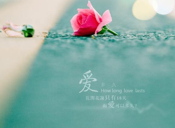 退休后，如何才能过上幸福的生活？