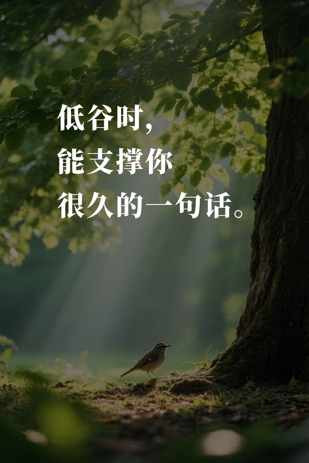 央视提醒：低谷时，能支撑你很久的一句话