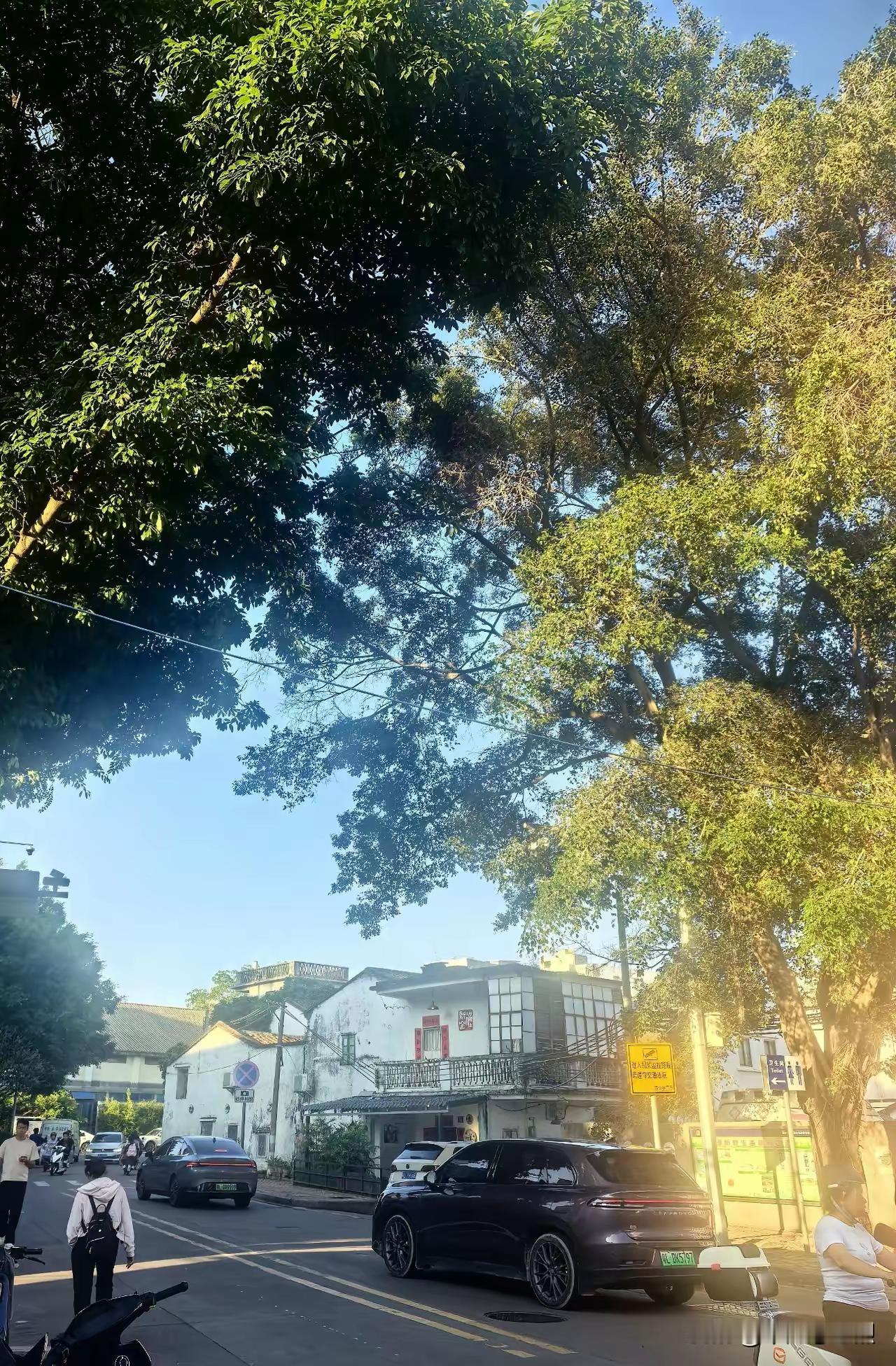 村里有户人家，卖了老宅子后，一家人病的病，死的死，坐的坐牢，凄惨万分。有人说