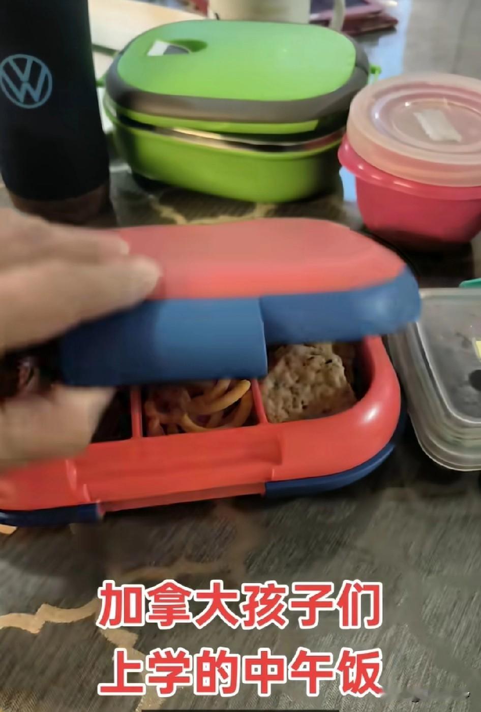 加拿大孩子们上学午餐，太简单了吧，饼干拿个袋子装就行了，装个盒子还得洗带个饭盒