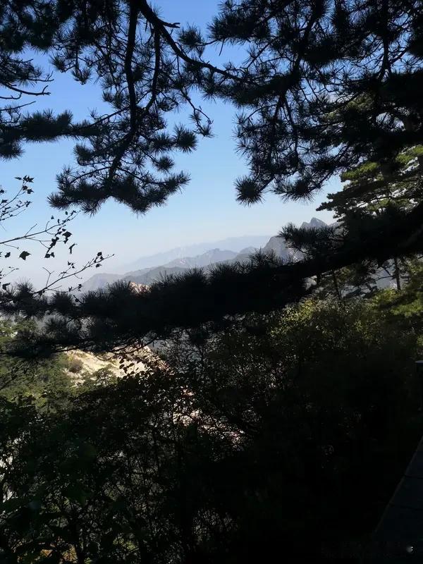 “赏千山美景”这上联一出，简直像颗炸弹扔进了诗词圈。大家绞尽脑汁对下联，有人愁得