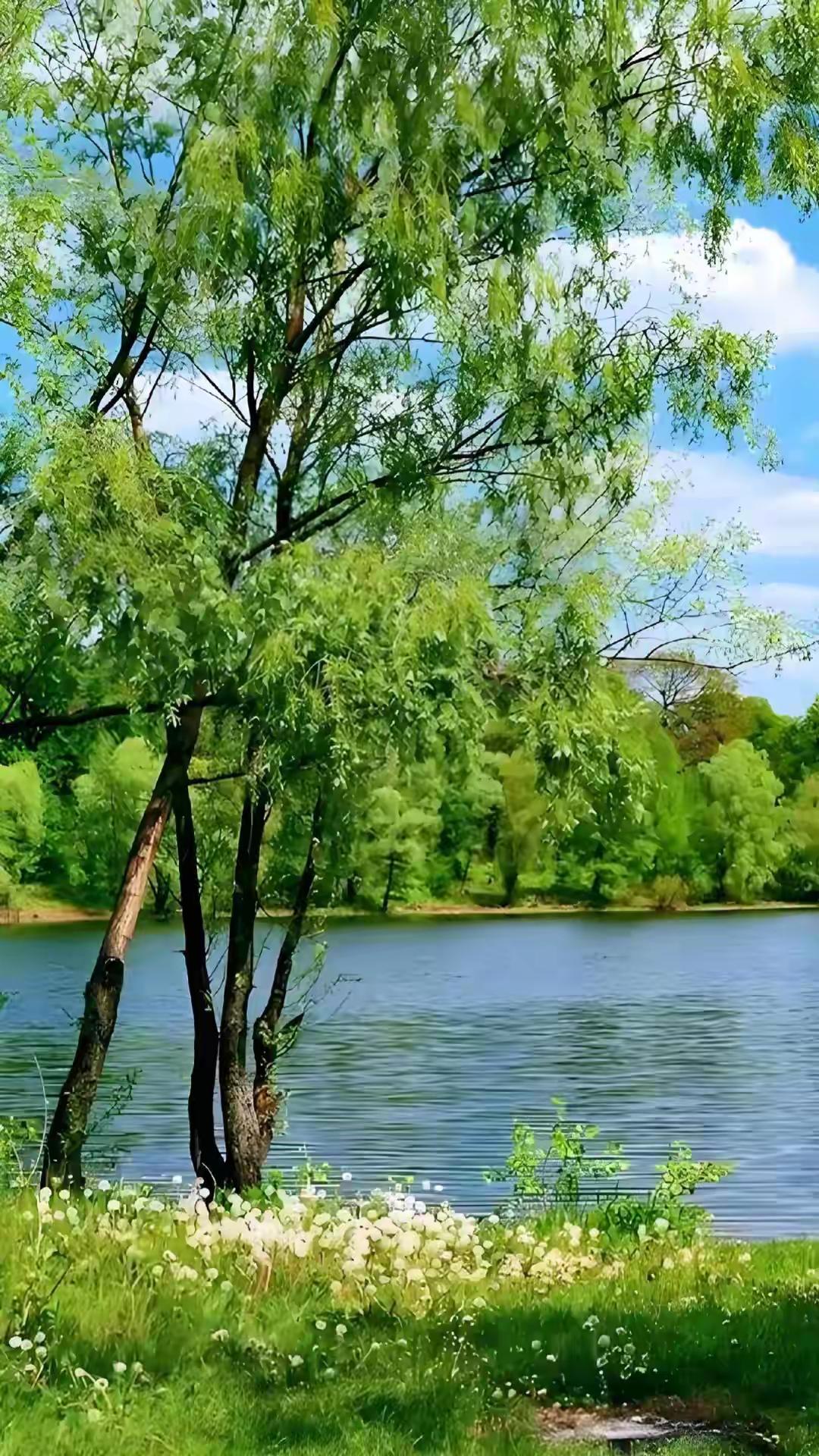 散文｜夏深蝉歇，光阴静好夏浓如墨，终于到了该沉淀的时候。骤然的雷雨，像是一