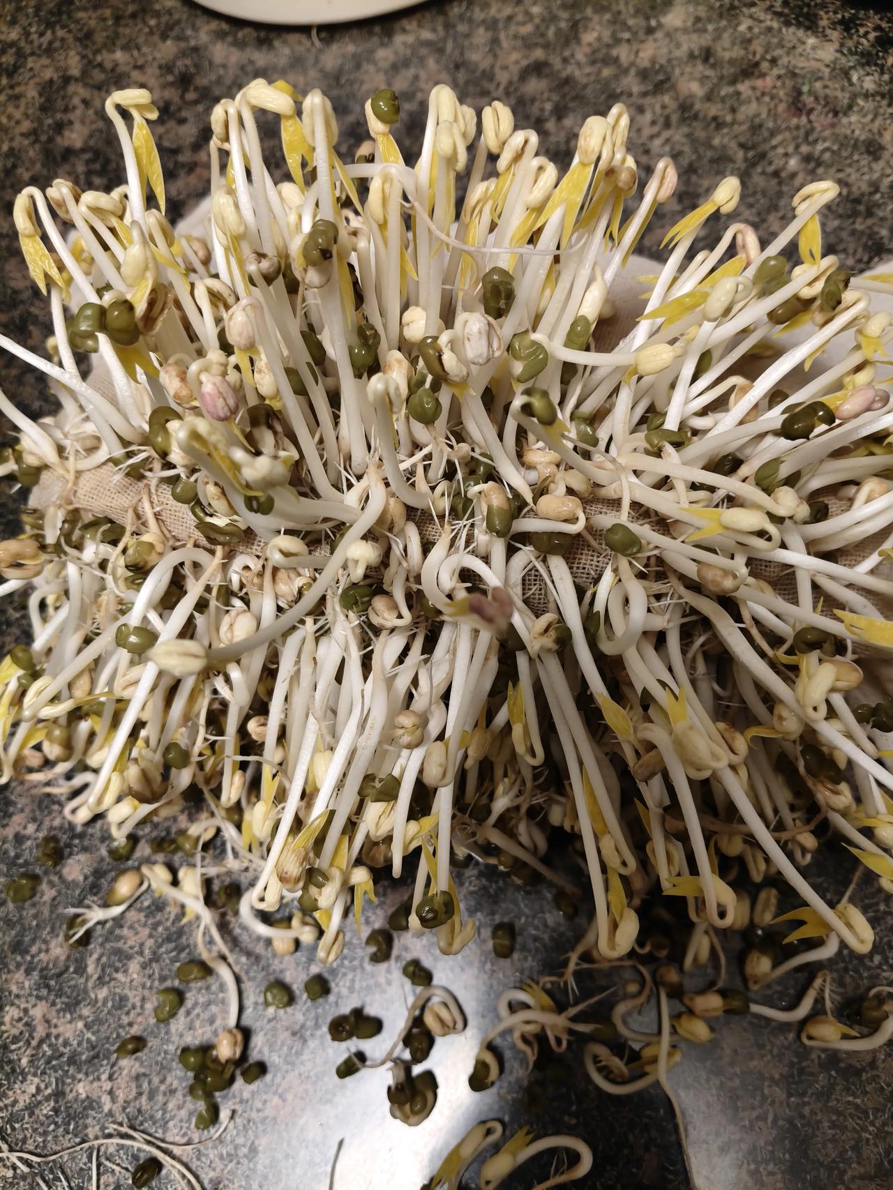 小时），放在地暖上，很方便啊！