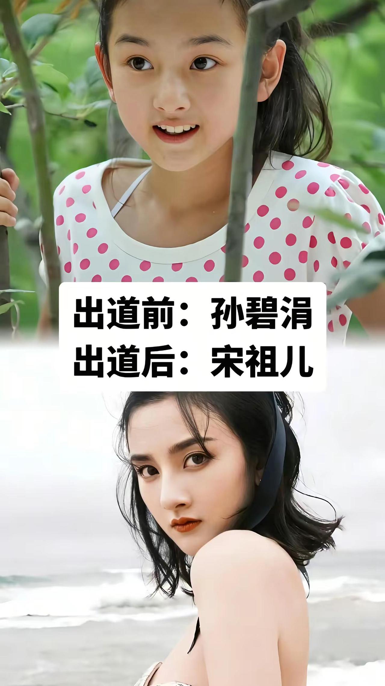 辛芷蕾改名星途坦荡