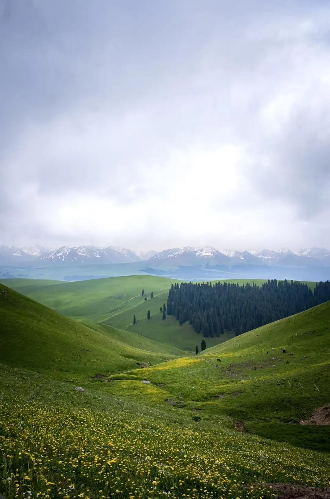 2025年工薪阶层收入，先给你一眼看懂的关键结论：人均工资性收入24555元/年