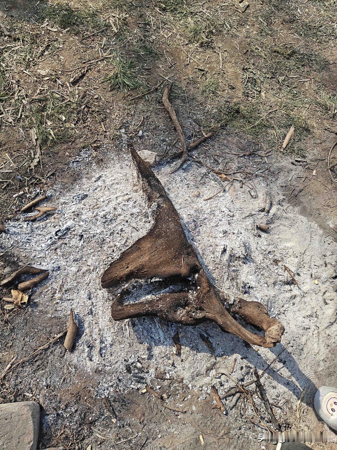 河南，十年彩礼的变化前几天，我最小的老表娶媳妇了。彩礼22.8万，盖房（