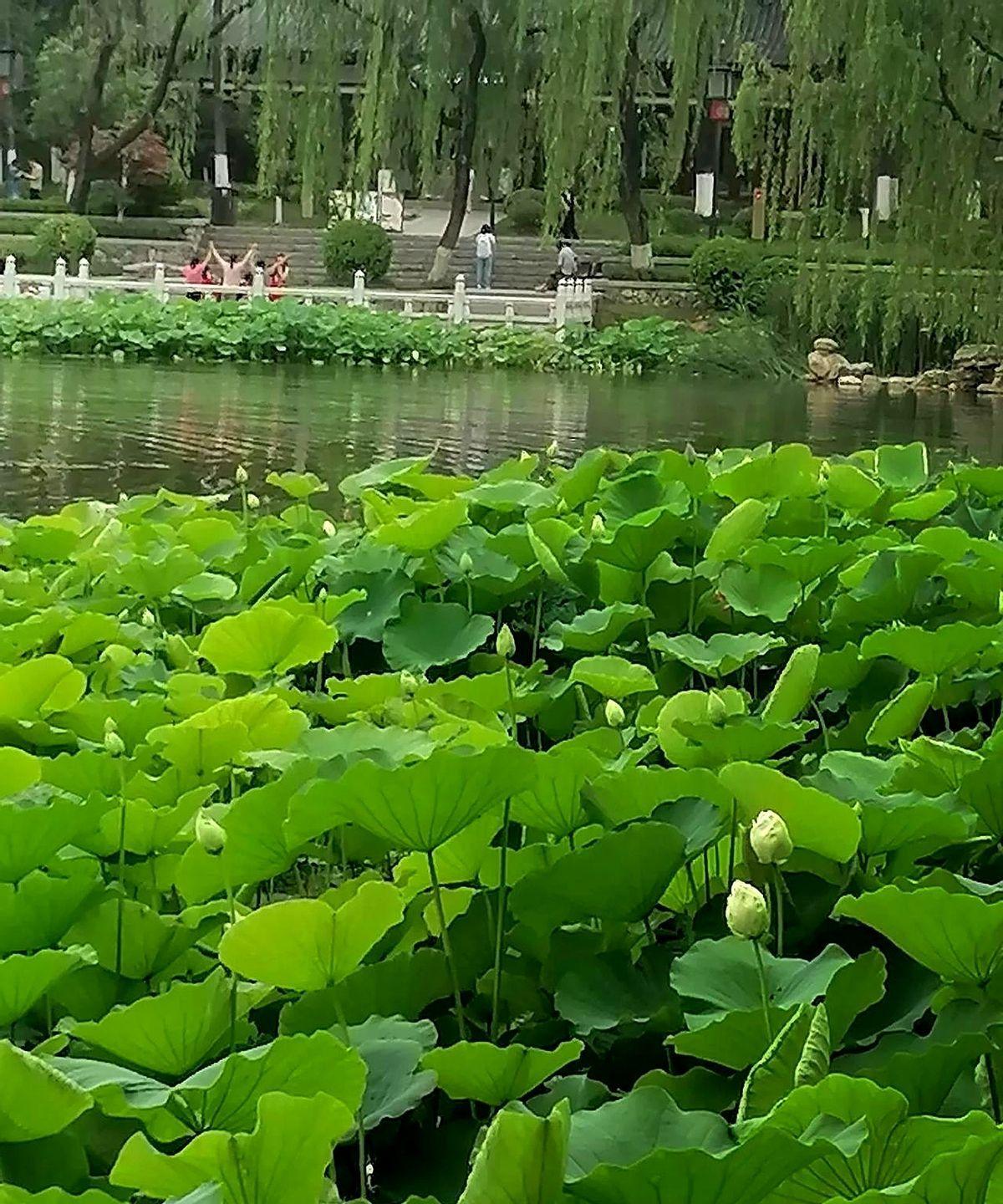 马上要报志愿了，计算机专业还能不能学？会不会是下一个土木？不过话说回来啊现在