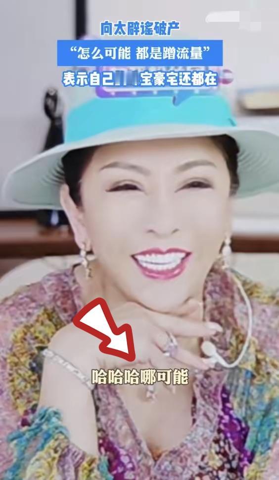 向太又被人蛐蛐了，这次说她家破产了。向太都气笑了：没有没有，都是蹭流量的~昨