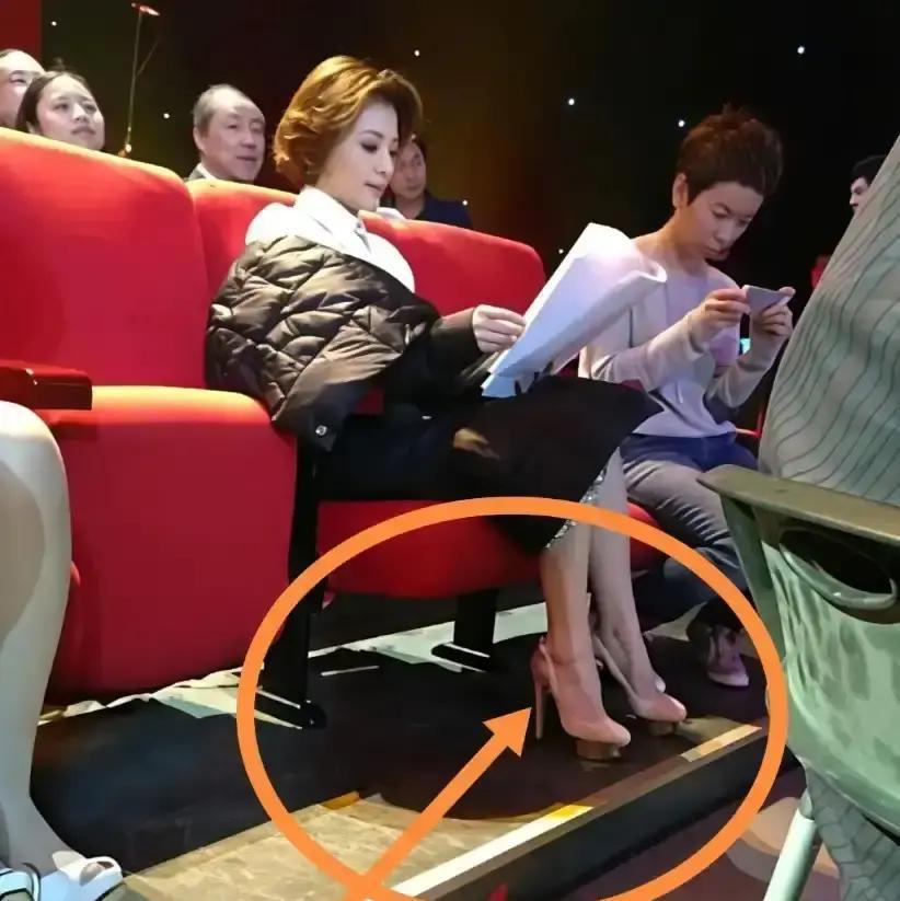 董卿那双鞋，央视报销不了。不是她买不起，而是那双裸色Louboutin的标