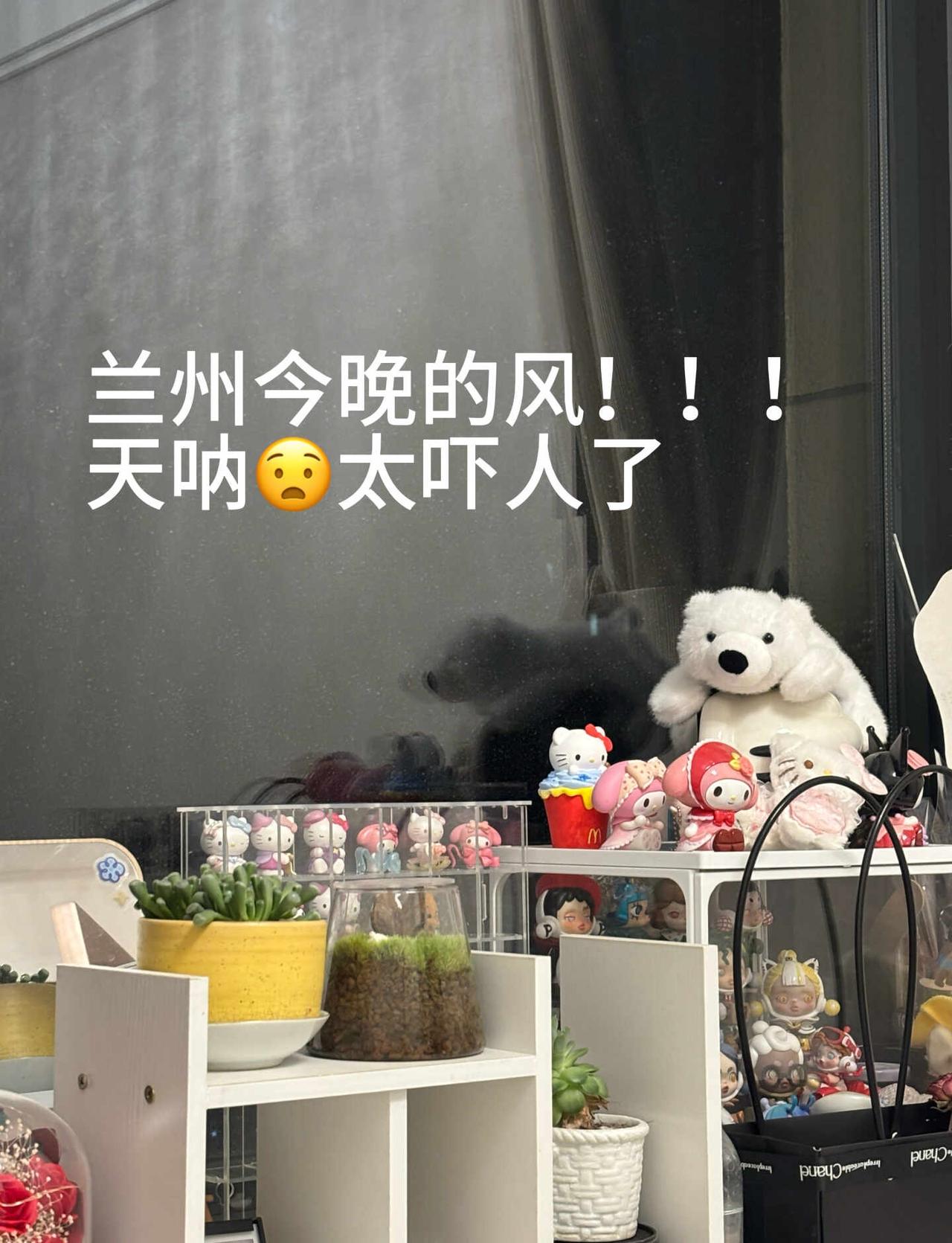 我的妈呀兰州今晚的风！！！太恐怖了😱在20楼听外面鬼哭狼号的到底怎么了好