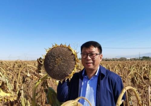 我国工程界大乌龙事件！2009年，重庆大学教授易志坚在研究物质力学时，意外发现了