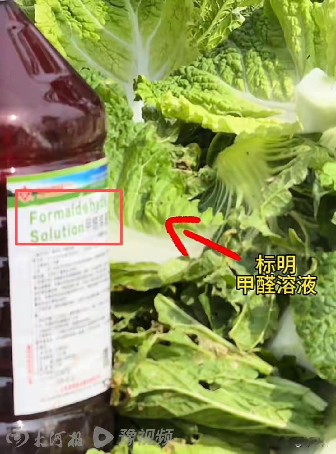 “白菜装车前被一捆捆蘸甲醛水”的视频时，手里的涮锅是不是瞬间停了？本来想着秋天囤