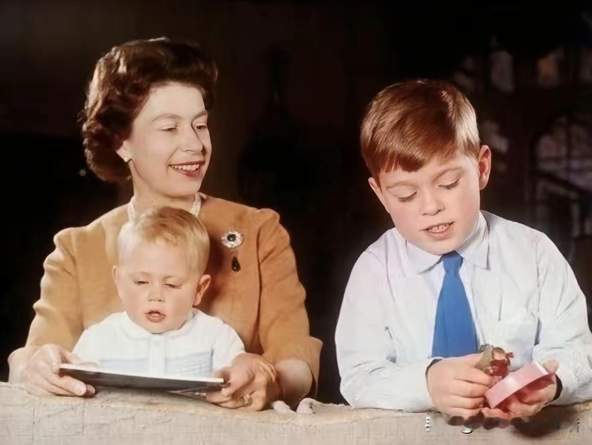 虽然是一奶同胞，虽然是一个妈生的，但是弟弟做出了这么多缺德丢人的事，当哥哥的也没