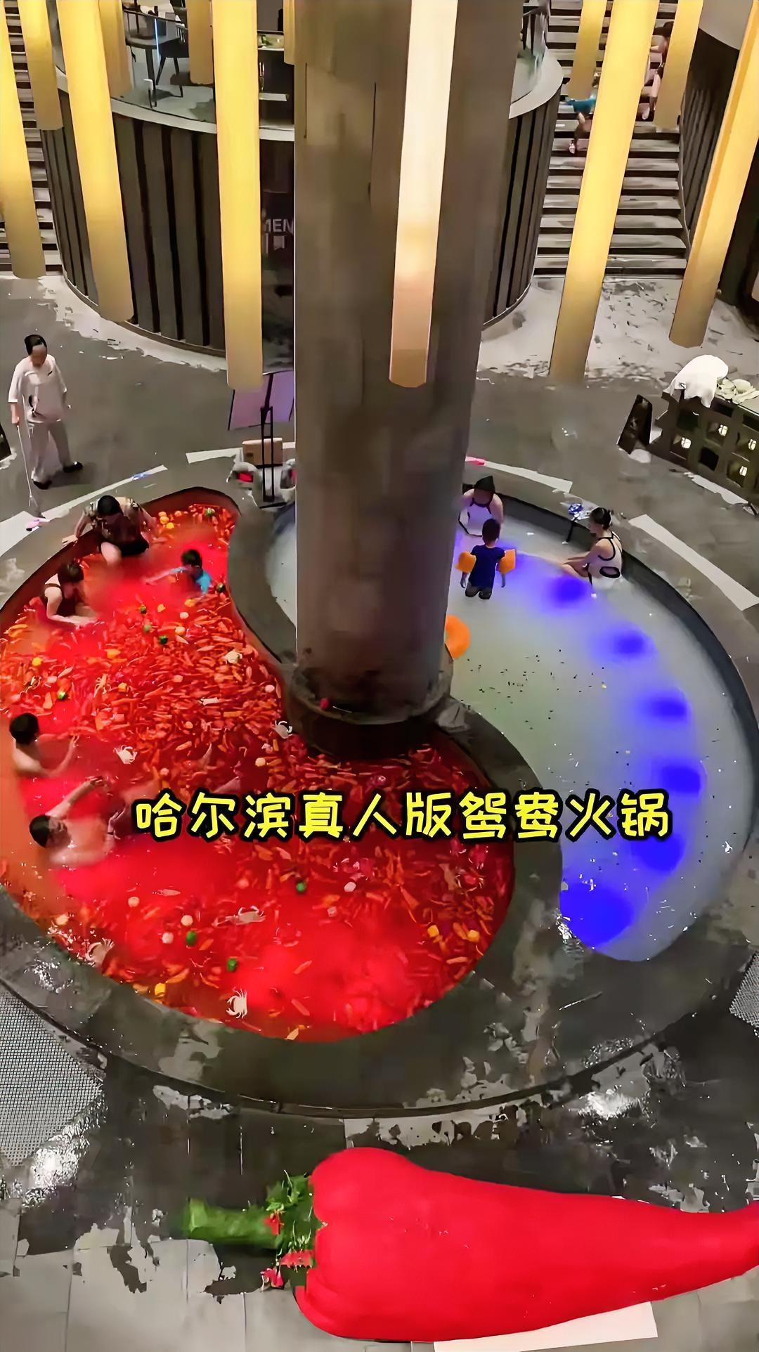惊呆了，这鸳鸯火锅竟然“烫”的是人[捂脸哭]这位黑龙江老板也是脑洞大开！这真的
