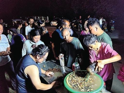 “太能挣钱了!”郑州一位73岁大爷，一到晚上不遛弯，不睡觉，竟一头扎进树林花3