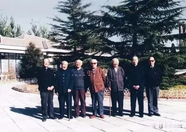 1986年启功等七名专家在南博对文物进行过鉴定，为什么那时候没有仇英《江南春》的