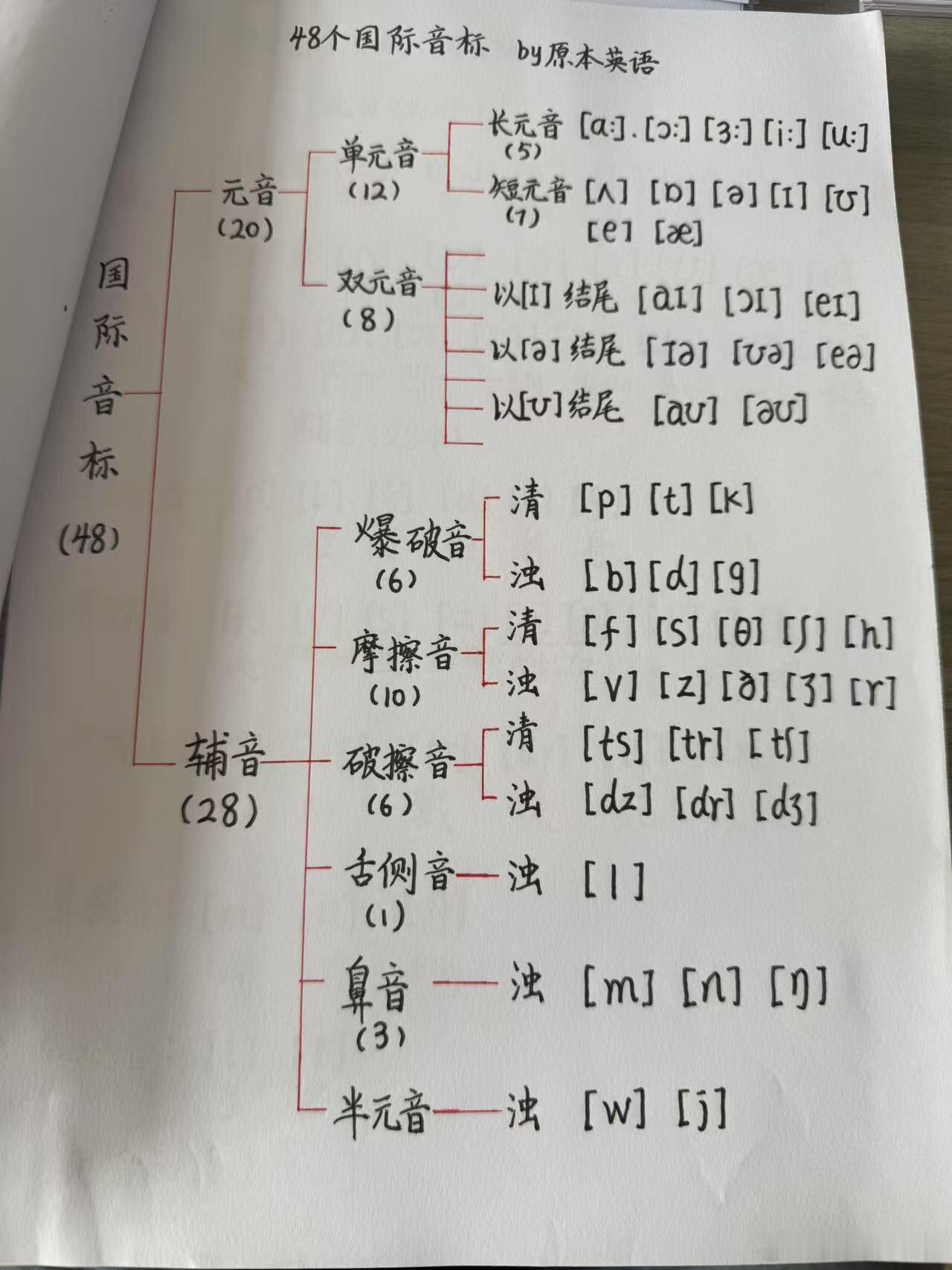 终于有人把音标讲清楚了